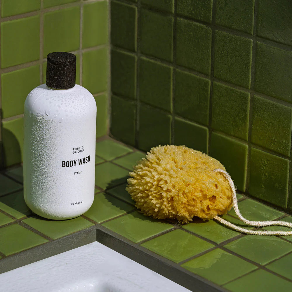 Sea Sponge | Curated Ambience